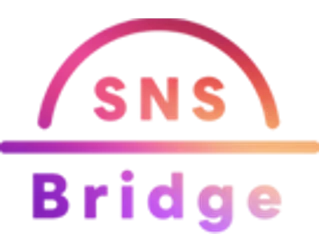 SNS Bridge